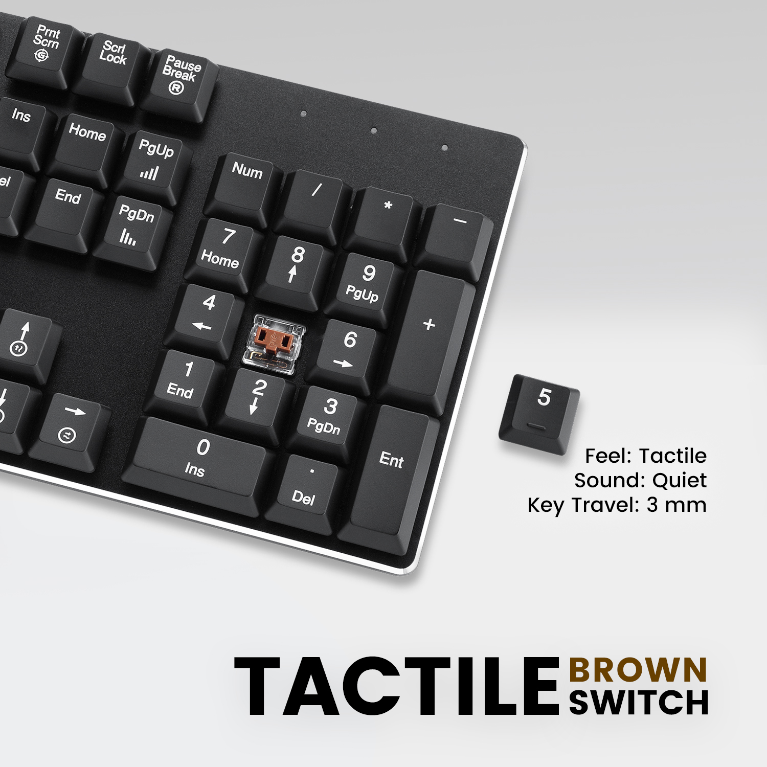  TACTILE BROWN SWITCH 