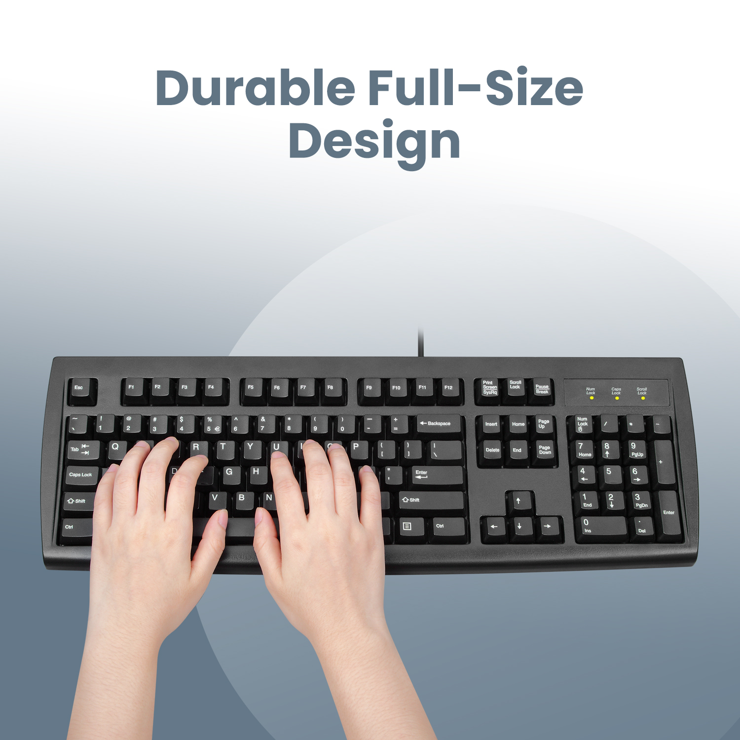 Sturdy Asset to Your PC