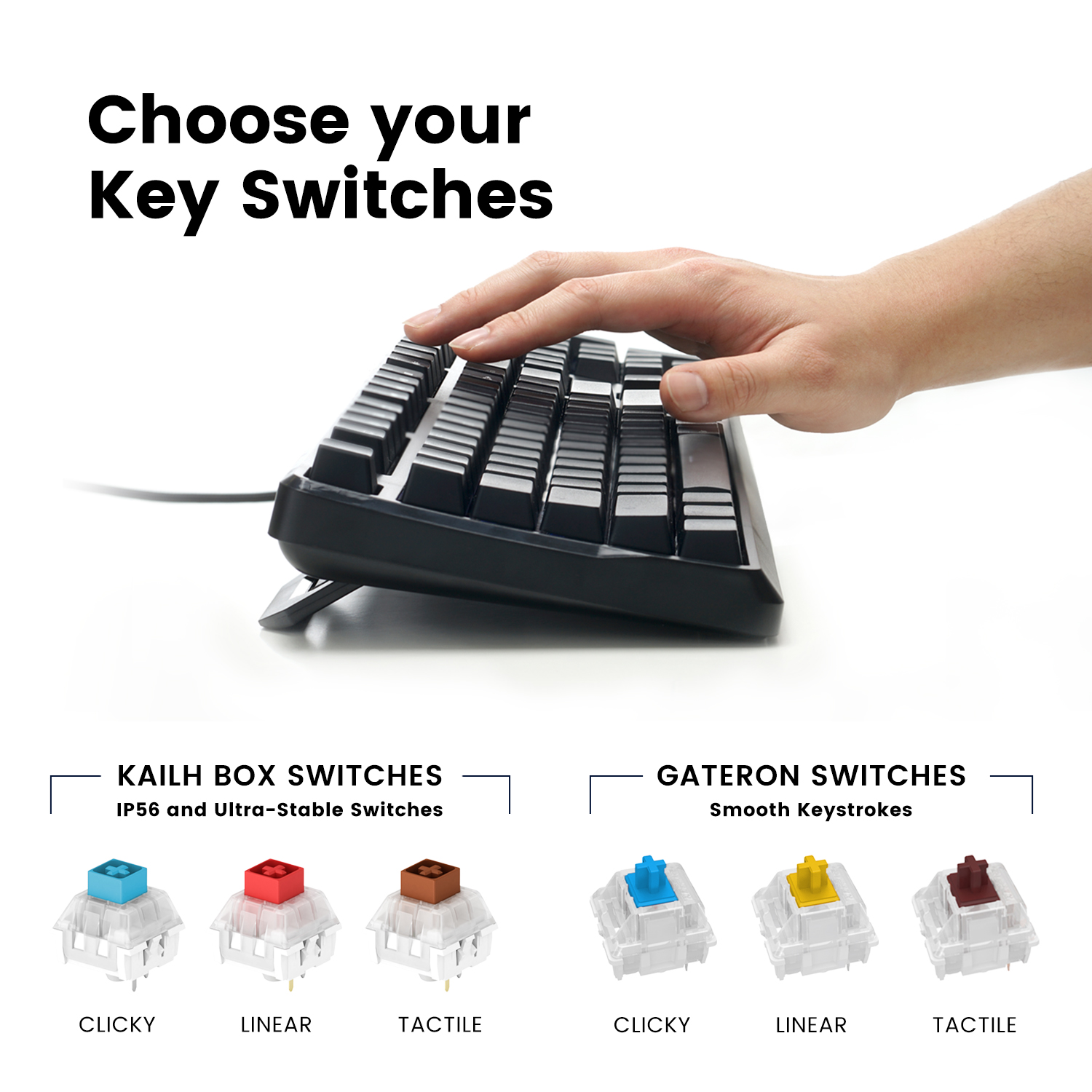 Tactile Switches